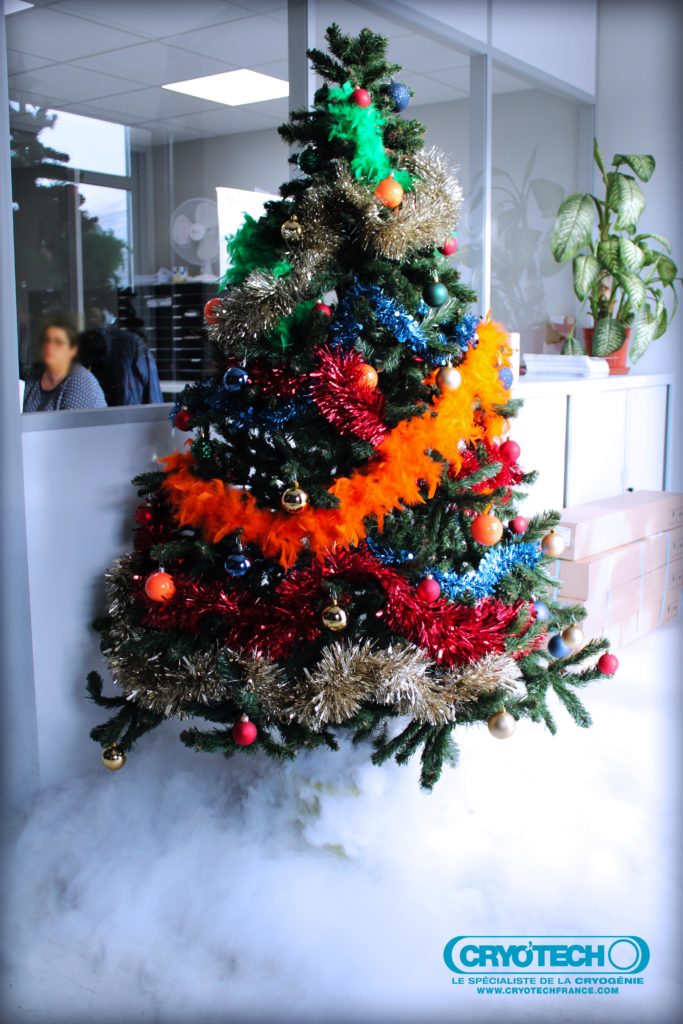 Sapin CRYO'TECH dans le hall de nos locaux pou les fêtes de fin d'année