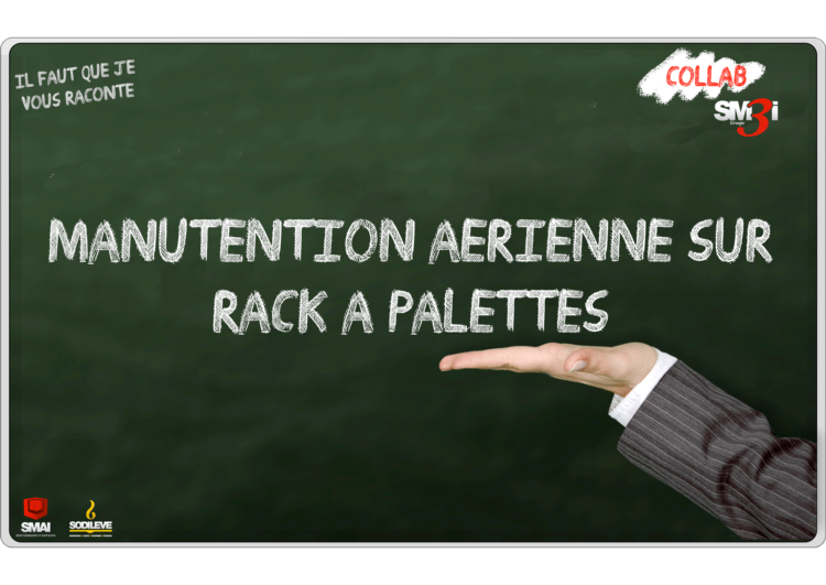 Il faut que je vous raconte Projet manutention aérienne sur rack à palettes Groupe SM3I